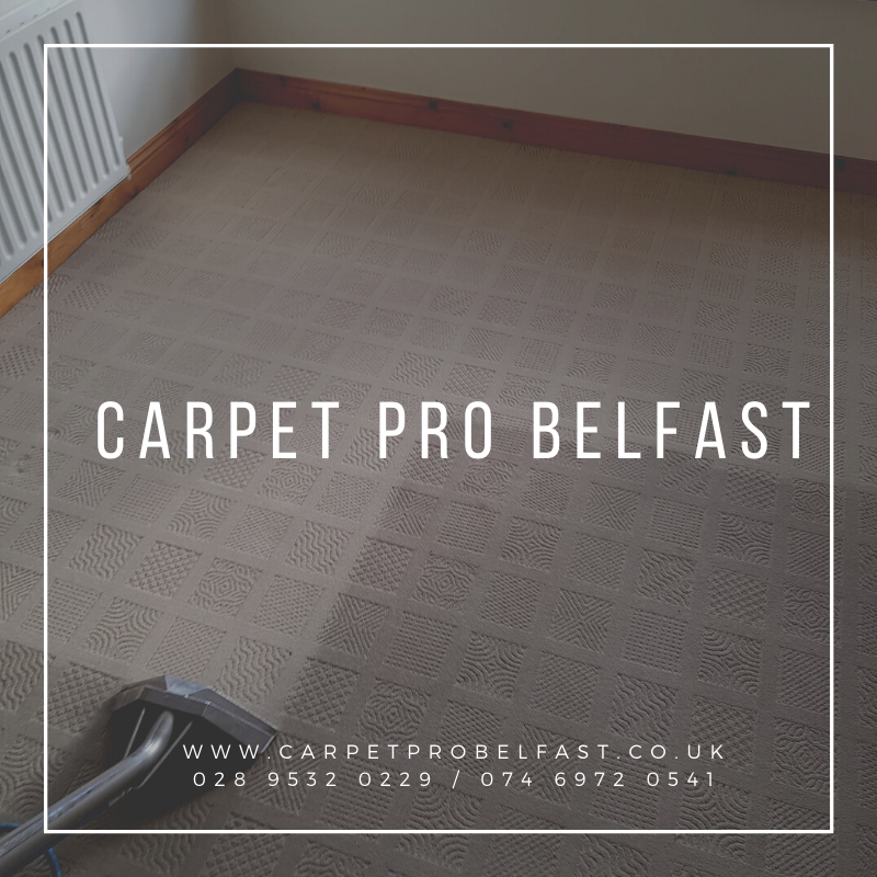 How to keep your carpets clean at your home Carpet Pro Belfast